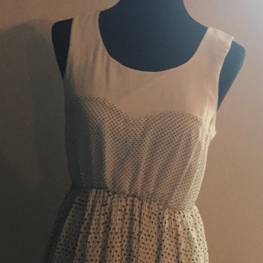 Lark and Wolff dress